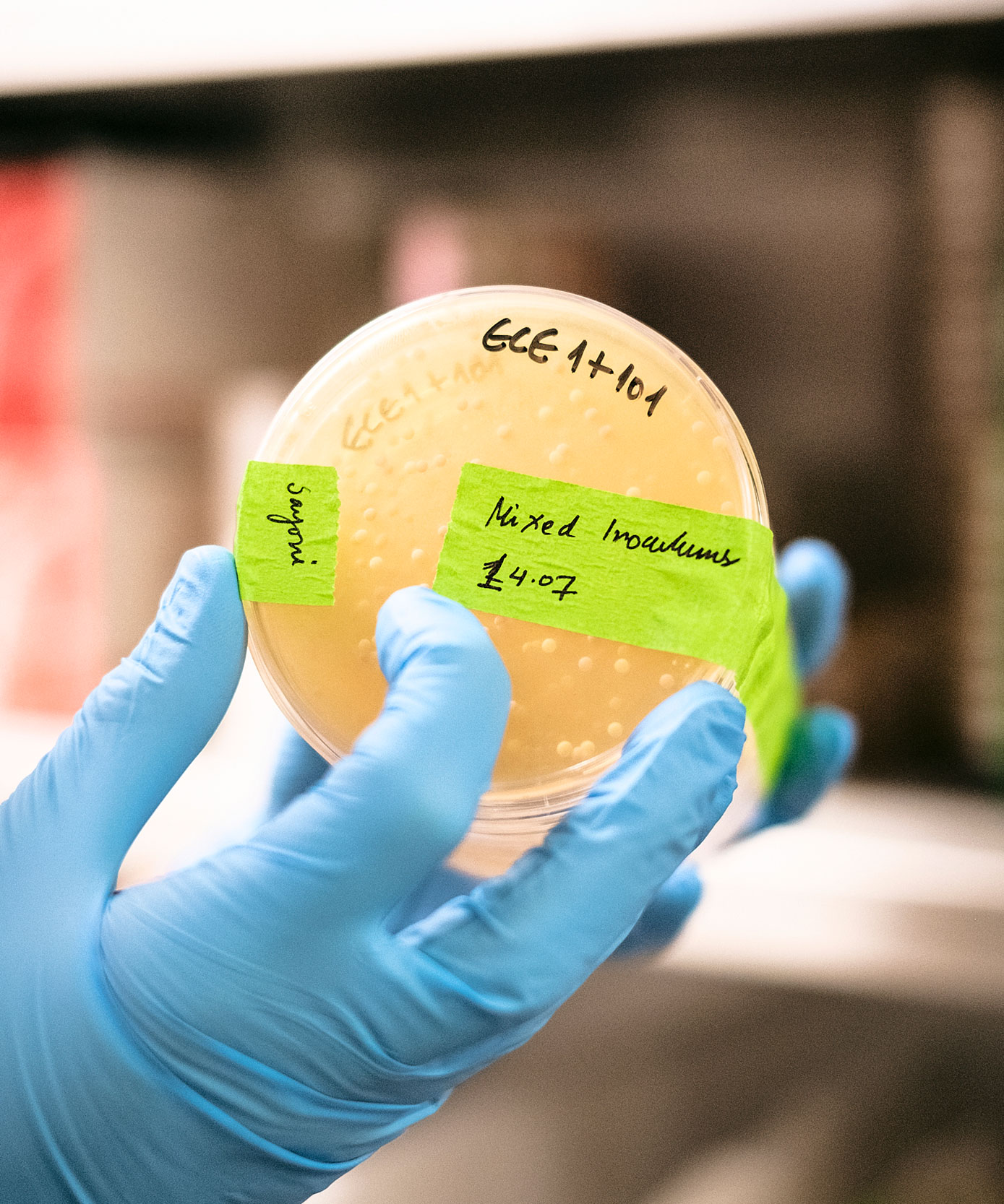 Entzündungsforschung und Mikrobiom-Technologien